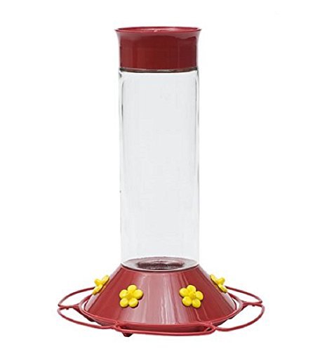 Perky Pet 209B Glass Hummingbird Feeder, 30 Oz, Red (Older Model)