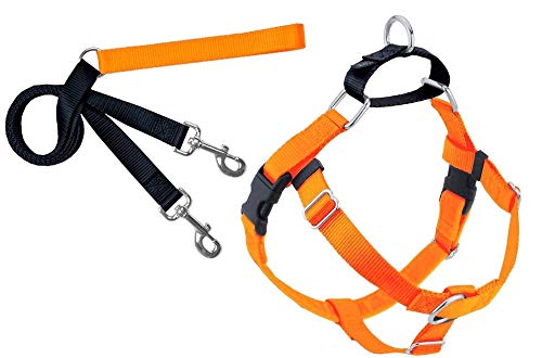 2 Hounds Design Freedom No-Pull Dog Harness Training Package, Large, Neon Orange