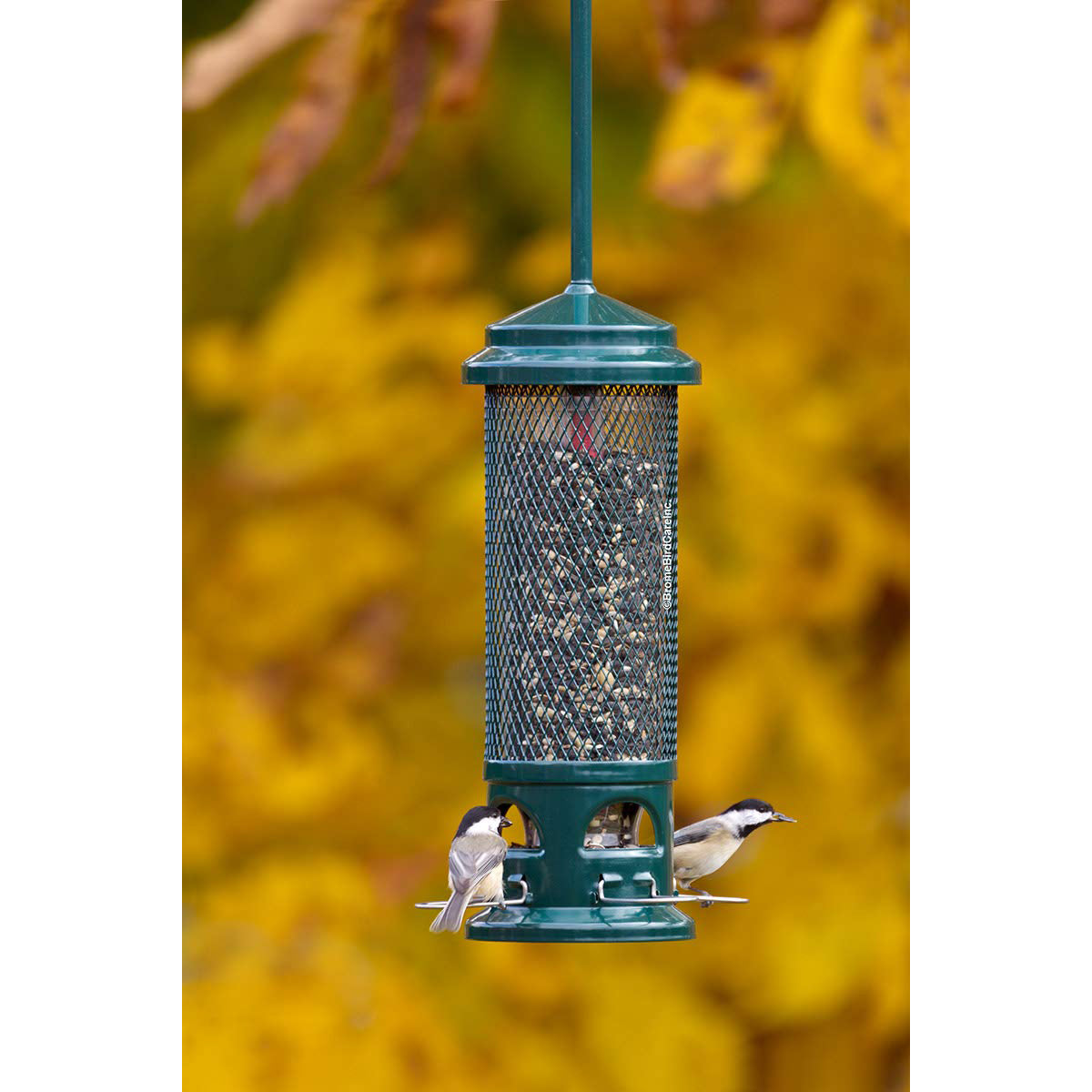 Brome 1082 Squirrel Buster Legacy Squirrel-proof Bird Feeder w/4 Metal Perches, 2.6-pound Seed Capacity