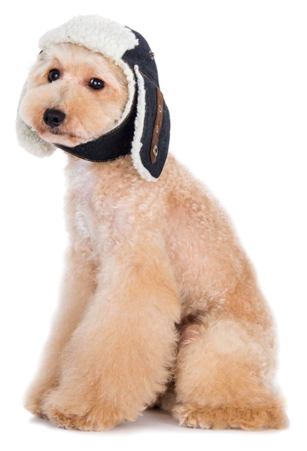 Dogo "Trapper" Hat For Cat Dog Puppy Pet (M)