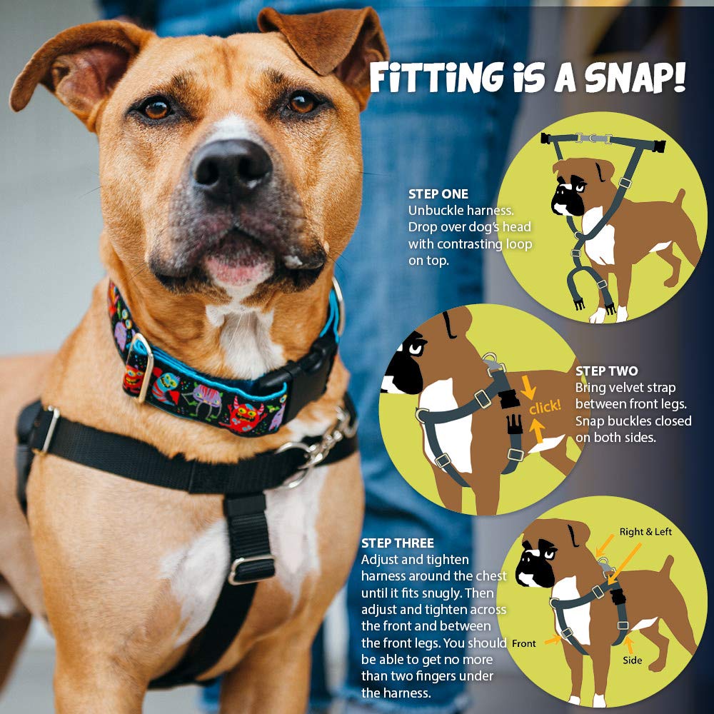 2 Hounds Design Freedom No-Pull Dog Harness with Leash, Medium