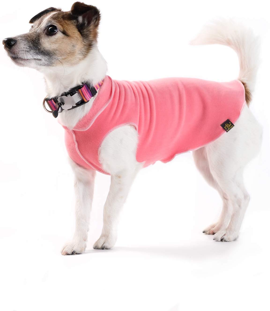 Gold Paw Stretch Fleece Dog Coat, Coral, Size 16