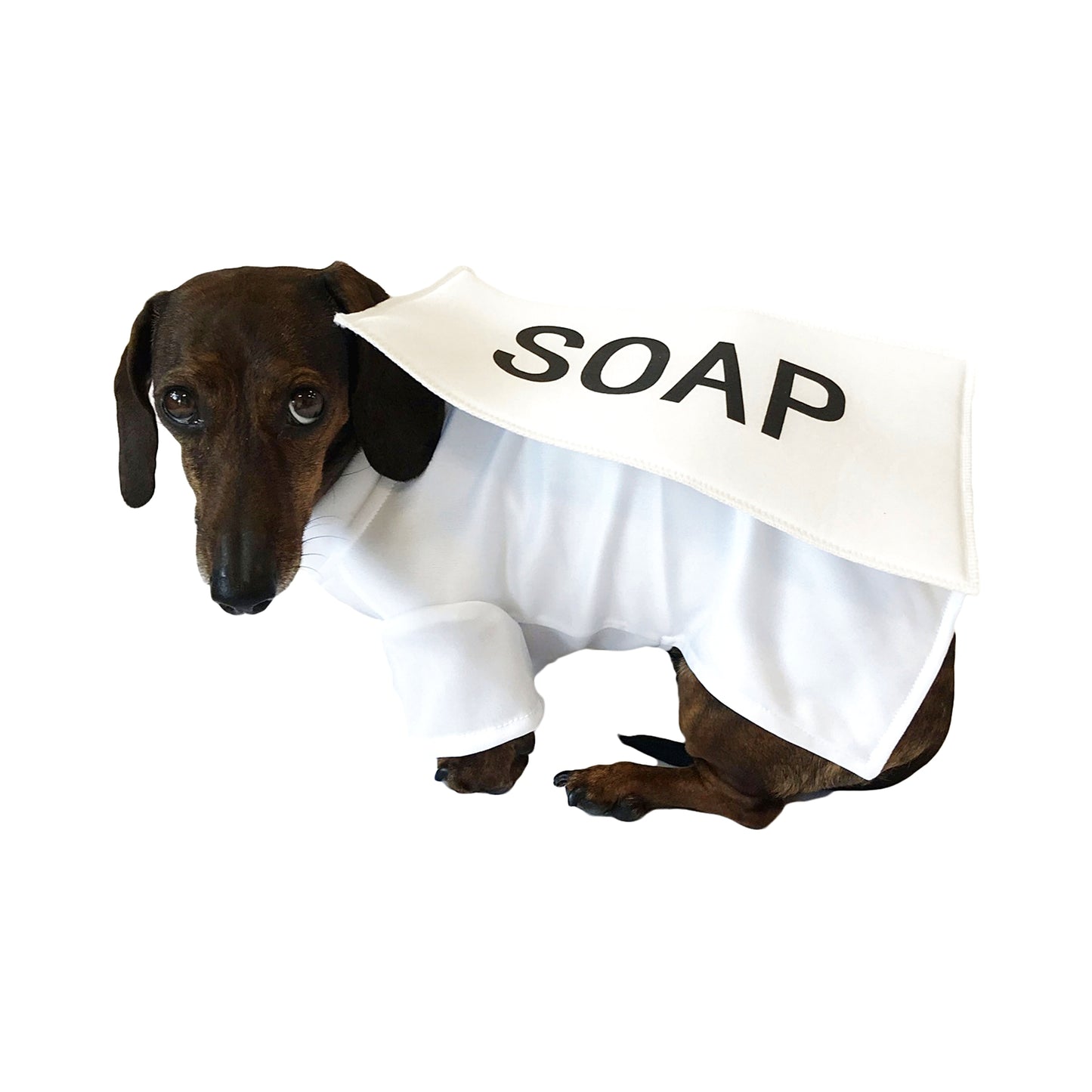 Midlee Bar of Soap Dog Costume