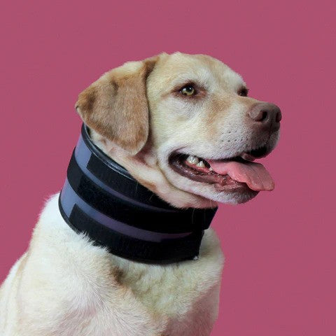 KVP BITE FREE Collar (21" - 25")