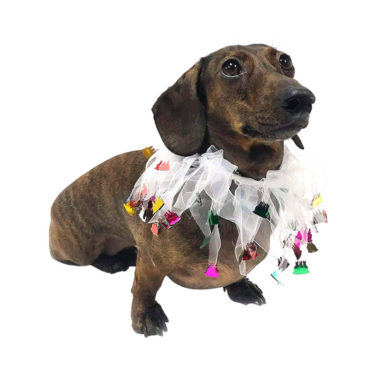 Midlee Birthday Cake Decorative Dog Collar (Small)