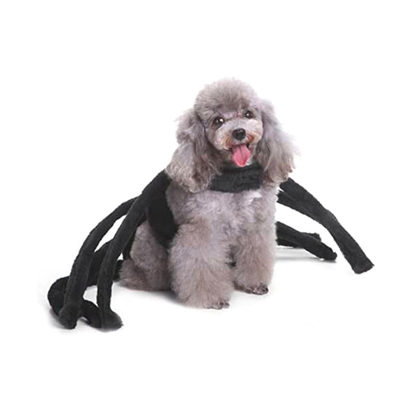 Midlee Black Widow Dog Costume (Medium)