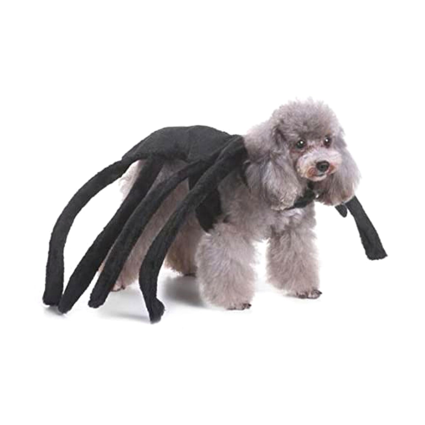Midlee Black Widow Dog Costume (Medium)