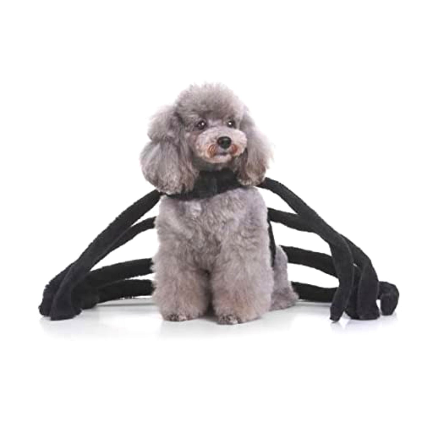 Midlee Black Widow Dog Costume (Large)