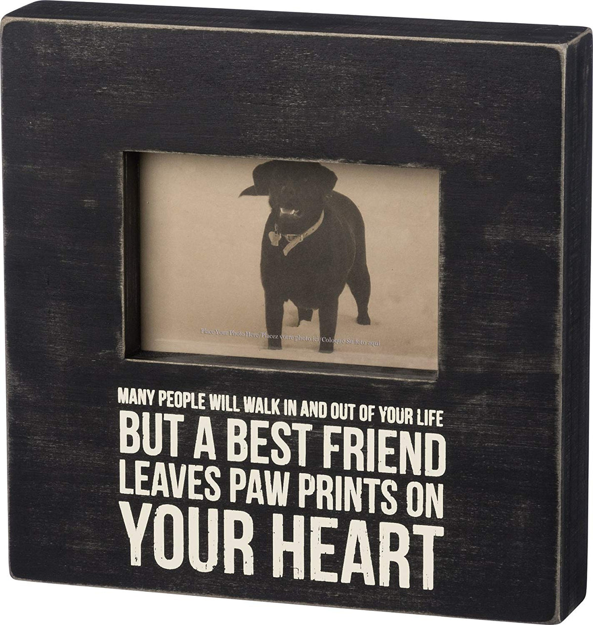Primitives by Kathy Box Frame - Paw Prints
