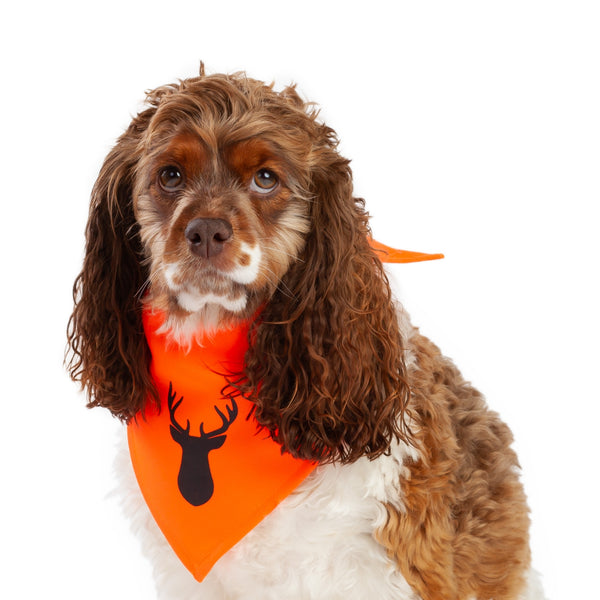 Midlee Blaze Orange Hunter Safety Dog Bandana
