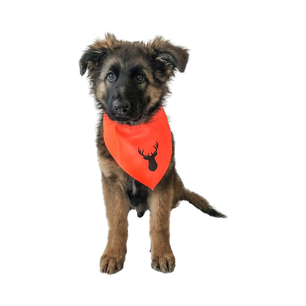 Midlee Blaze Orange Hunter Safety Dog Bandana