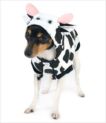 Puppe Love Cow Costume for Dogs - Size 5 (14" l x 18.5" - 20.5" g)