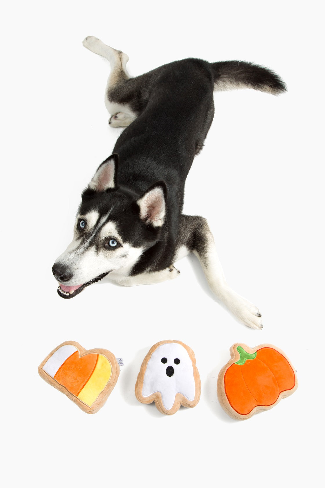 Midlee Boo Sugar Cookie Halloween Plush Dog Toys