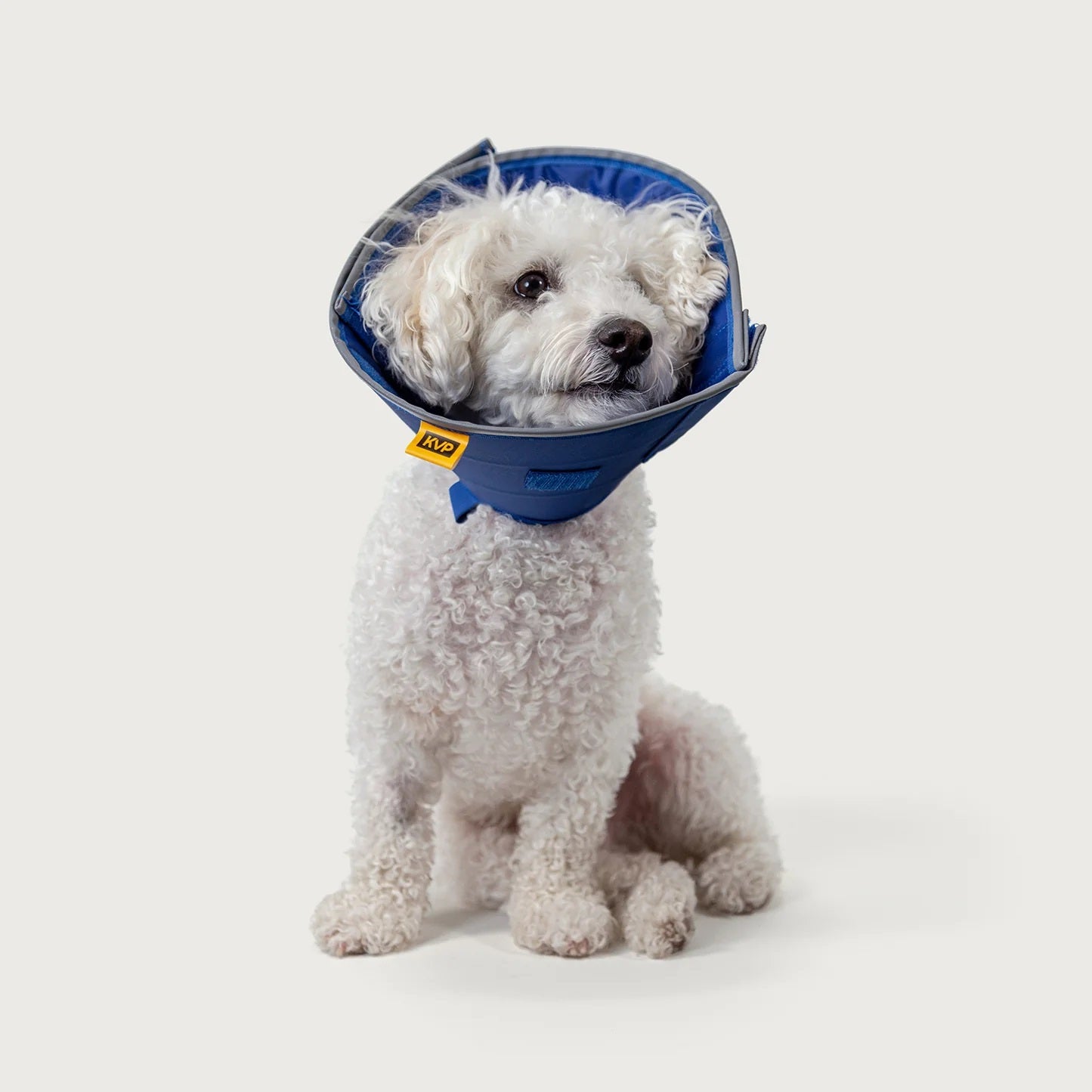 KVP International Calmer Collar - X Small