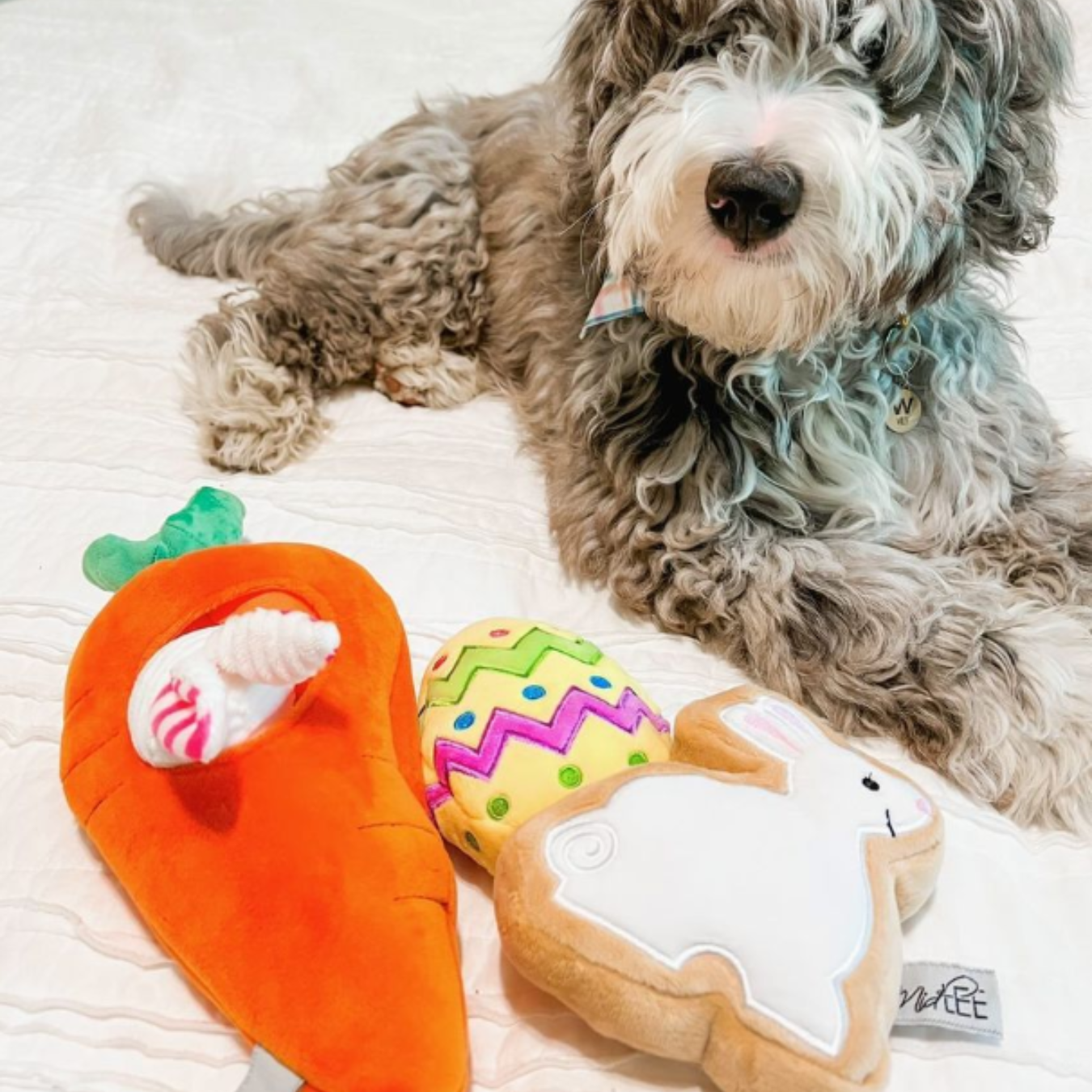 Midlee Hide a Toy Carrot Easter Dog Toy