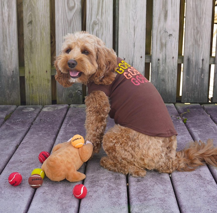 Midlee Roasted Thanksgiving Turkey Plush Dog Toy