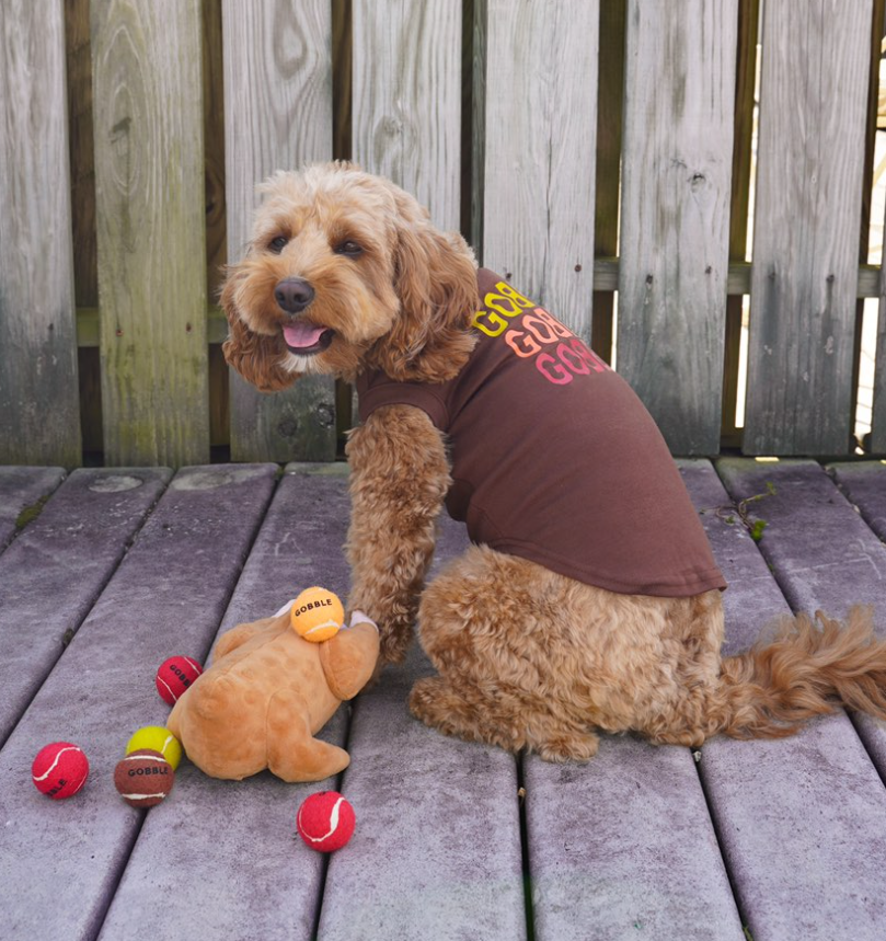 Midlee Gobble Gobble Gobble Dog Thanksgiving Shirt