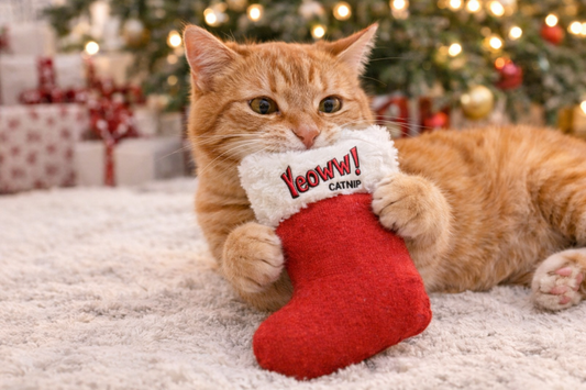 Yeowww! Duckyworld 100% Organic Flower Leaf Catnip Cat Toy Christmas Stocking