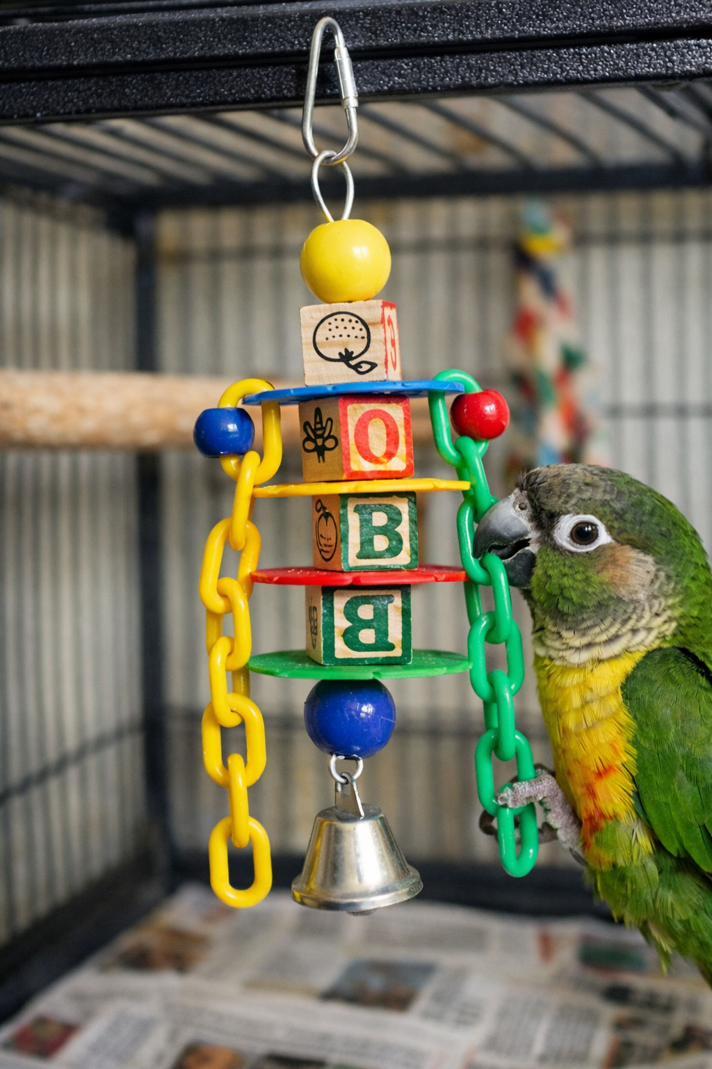AE Cage Company Happy Beaks Petite Learning Blocks Assorted Bird Toy