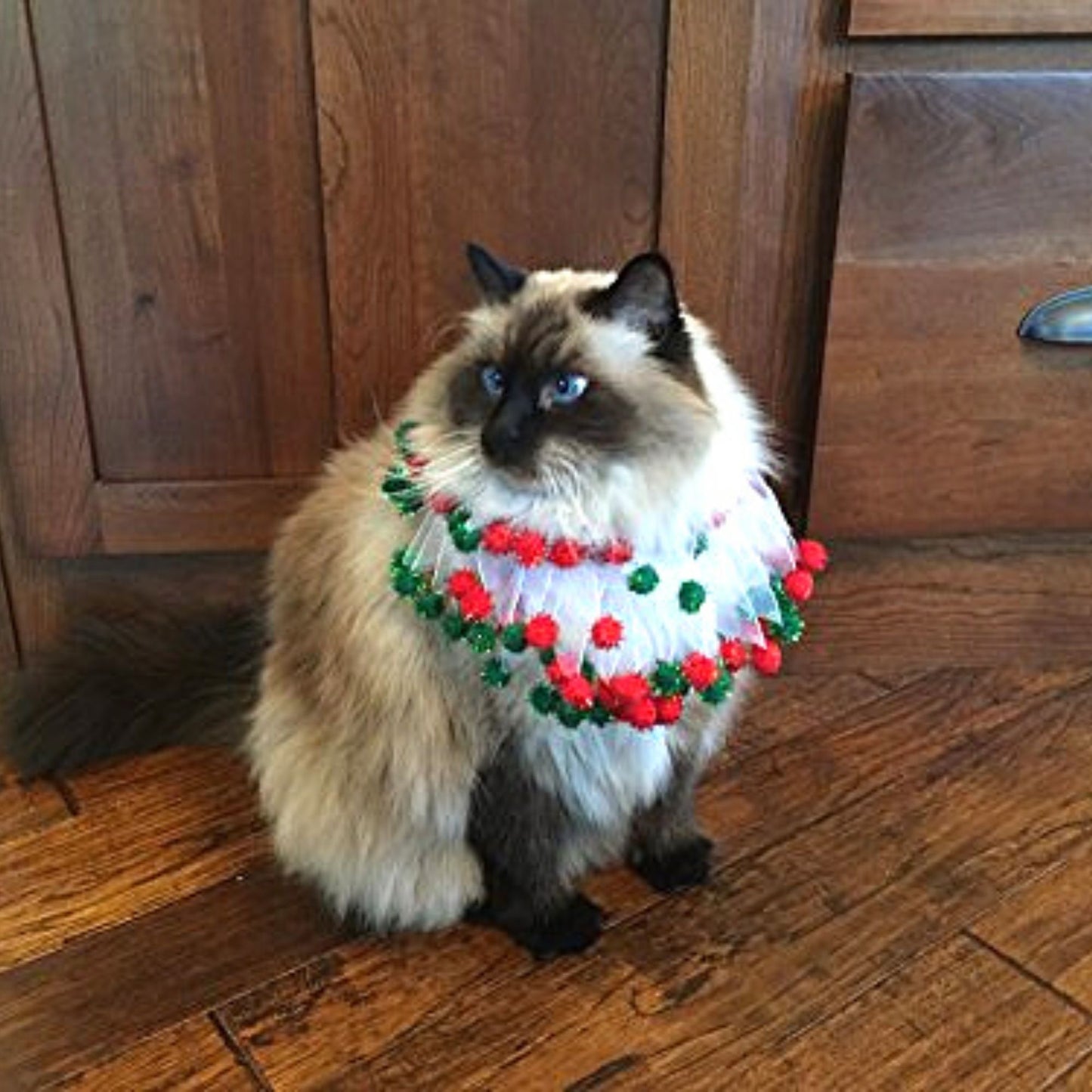 Midlee Christmas Pom Pom Decorative Dog Collar