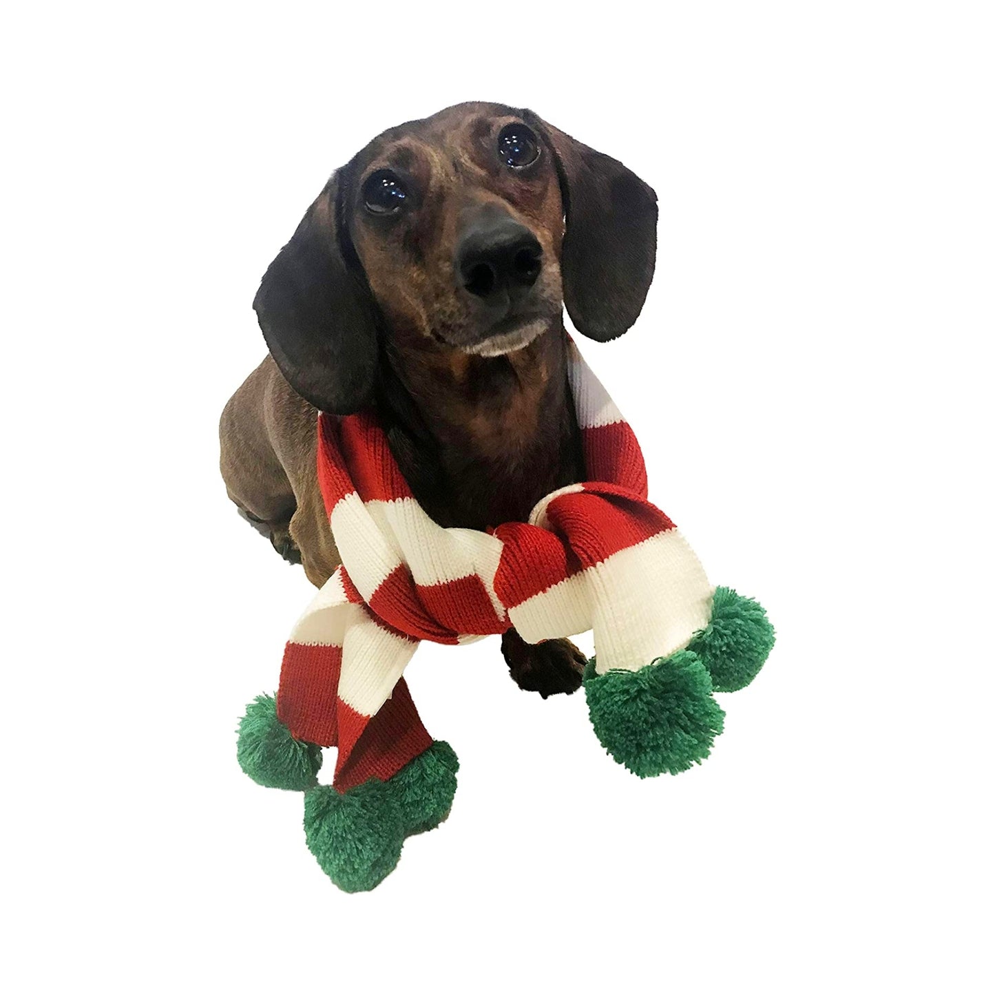 Midlee Christmas Striped Dog Scarf- Red/White & Green Pom Pom
