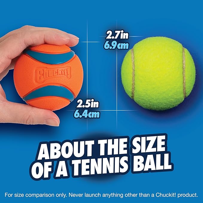 Chuckit Ultra Balls- Medium- 2 Count