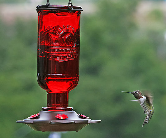 More Birds Red Elixir Vintage Glass Medicine Bottle Hummingbird Feeder - 13 oz