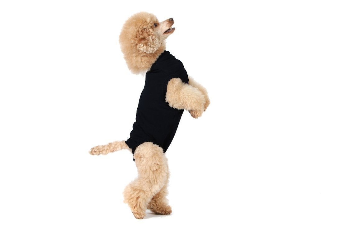 Suitical Recovery Suit for Dogs, Black, XX-Small