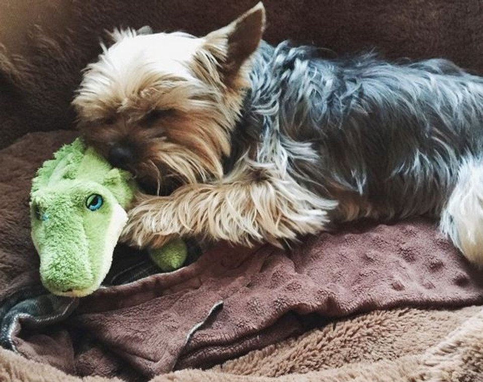 Fluff & Tuff Savannah Baby Gator Dog Toy