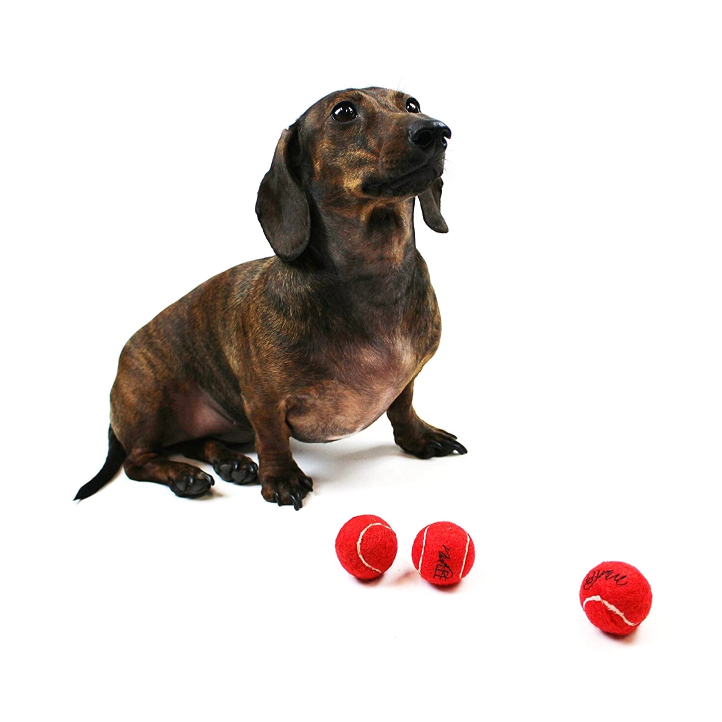 Midlee MINI Dog Tennis Balls, Red, 1.5" 12-Pack- Fetch Ball Laucher Pet Small Tennis Balls