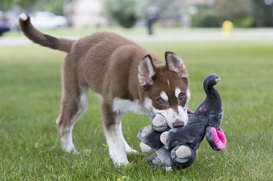 Fluff and Tuff Edsel the Elephant Dog Toy - 12"