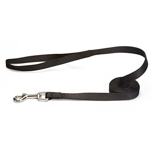 Zack & Zoey Basic Nylon Dog Leash, 6-Feet x 5/8-Inch Lead, Jet Black