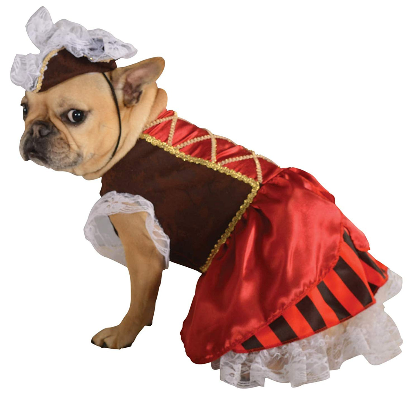 Rubie's Pet Costume, Medium, Pirate Girl