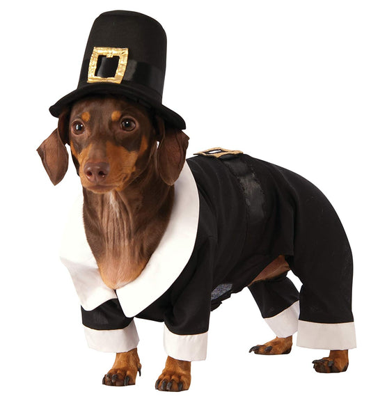 Rubie's Pilgrim Boy Dog Costume, X-Large