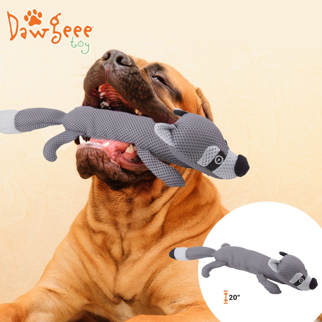 Dawgeee Dog Toys Value 5 Pack