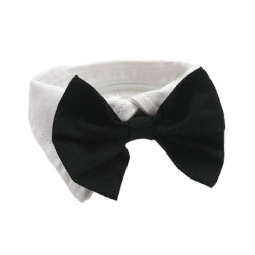 Formal Black Dog Bow Tie (Medium: Neck 13-16")