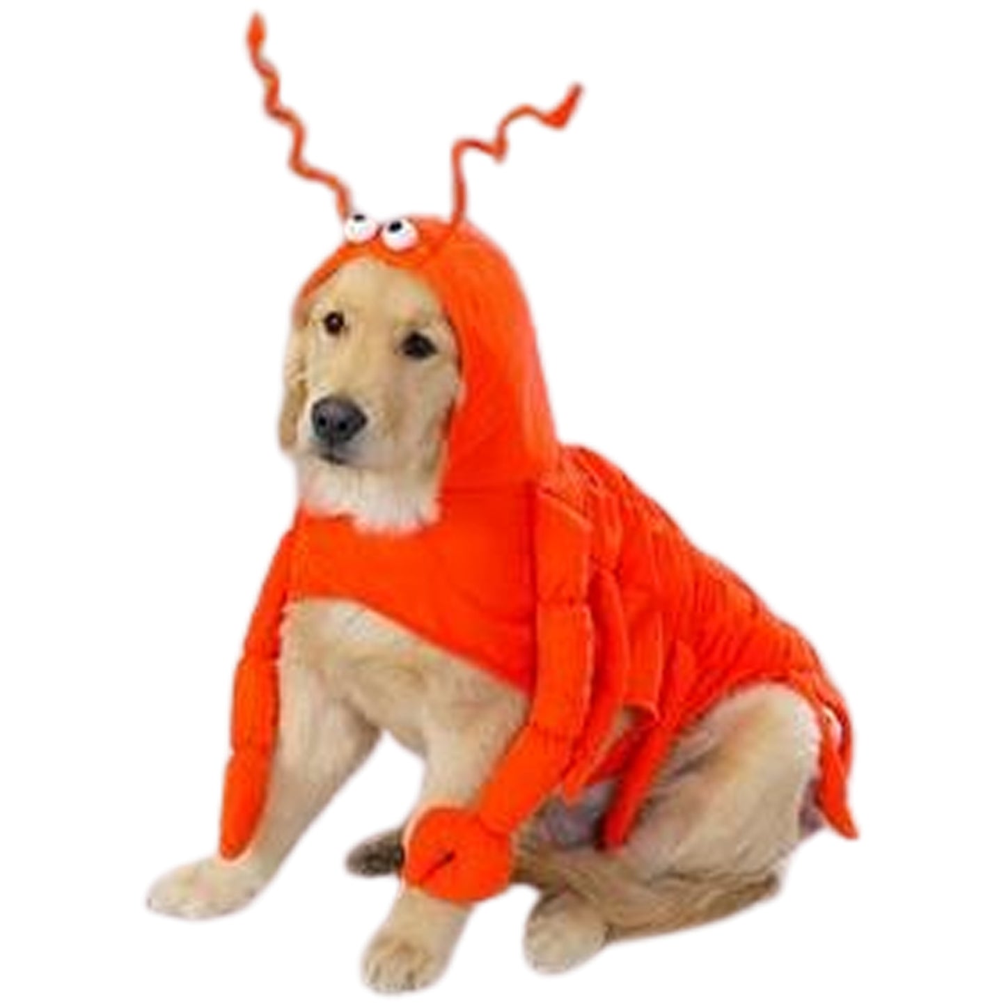 Casual Canine LARGE LOBSTER PAWS Dog Halloween Costume