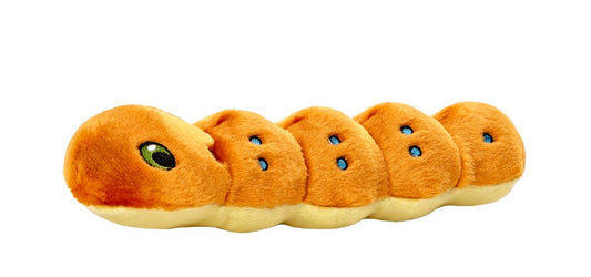 Fluff & Tuff Tiny Spicy Caterpillar Dog Toy