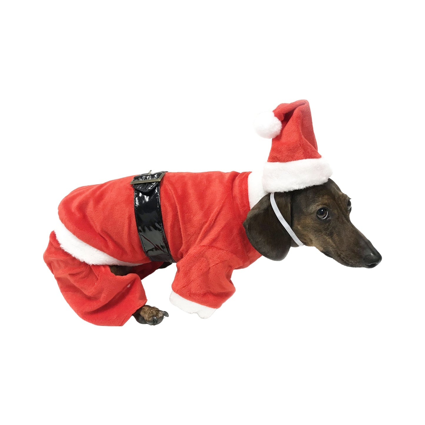 Midlee Dog Santa Claus Costume