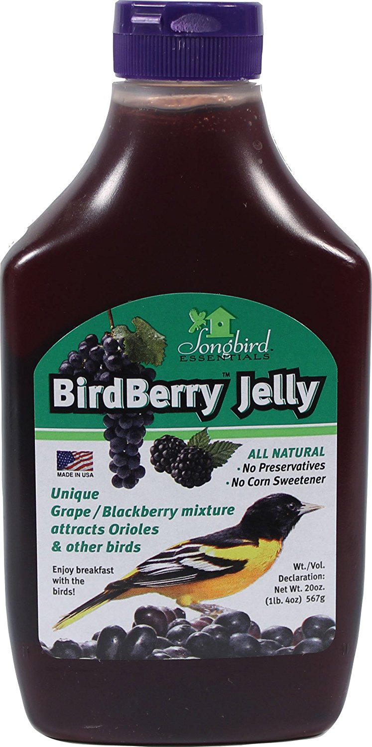 Songbird Essentials Bird Berry Jelly 20 Oz