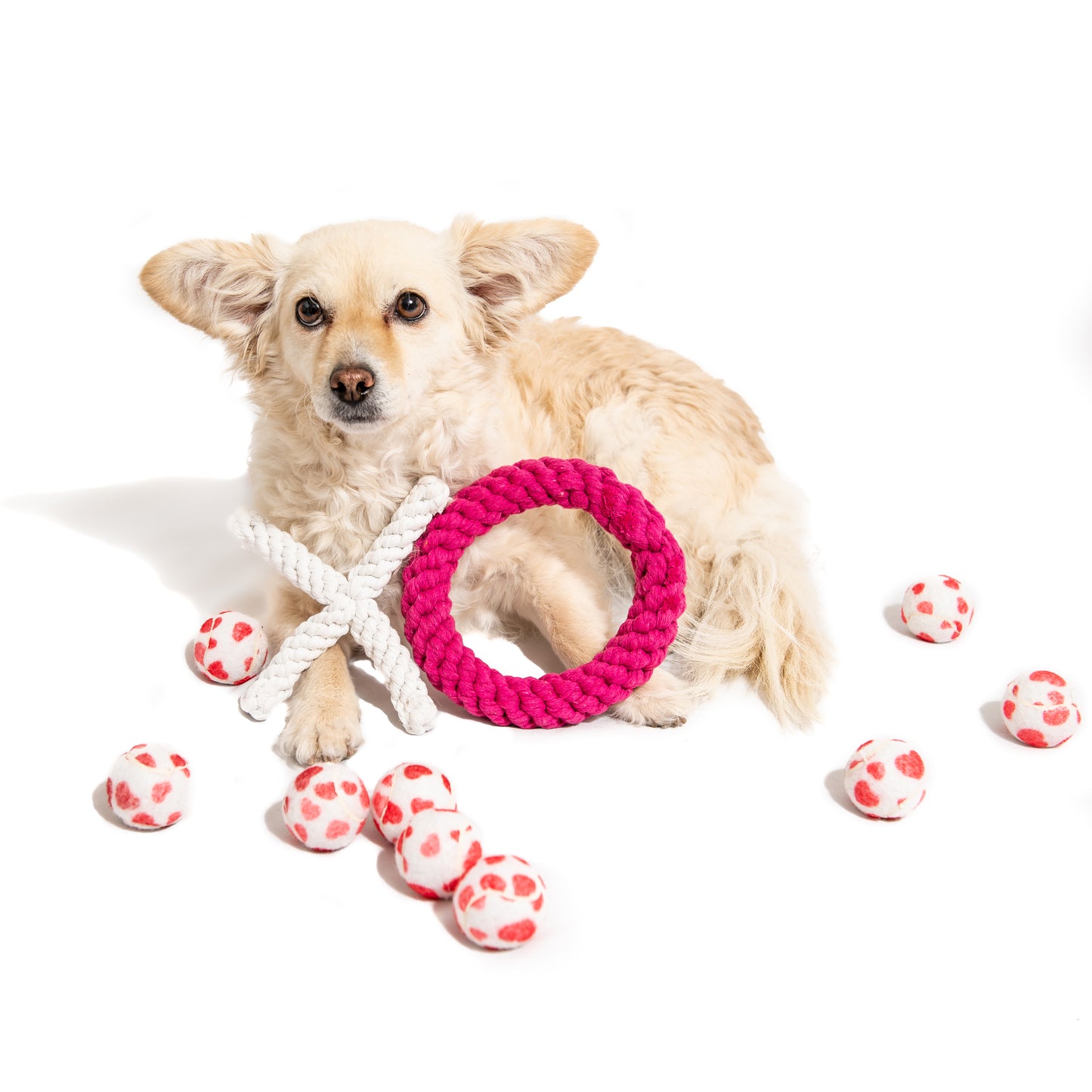 Midlee Valentine's Hearts Dog Tennis Balls- Mini- Fetch Gift Small