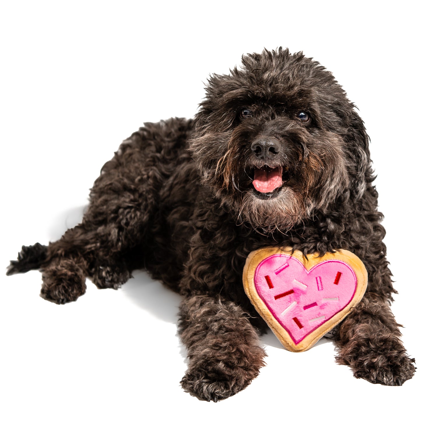 Midlee Pink Heart Sugar Cookie Dog Toy
