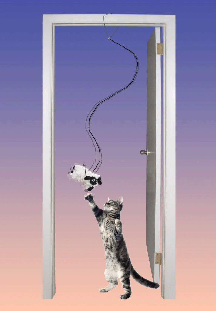 SPOT A-Door-Able Baa Baa Black Sheep Cat Toy