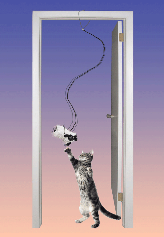 SPOT A-Door-Able Baa Baa Black Sheep Cat Toy