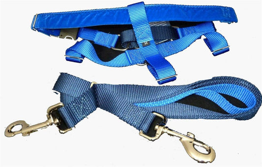 2 Hounds Design Freedom No-Pull Dog Harness Training Package, Medium (5/8" wide), Blue