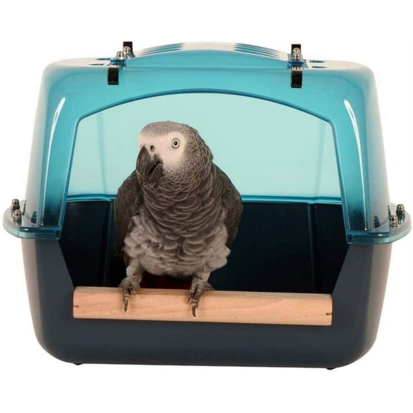 Lixit Giant Bird Bath For Large Birds 15"L x 10"W x 11"H