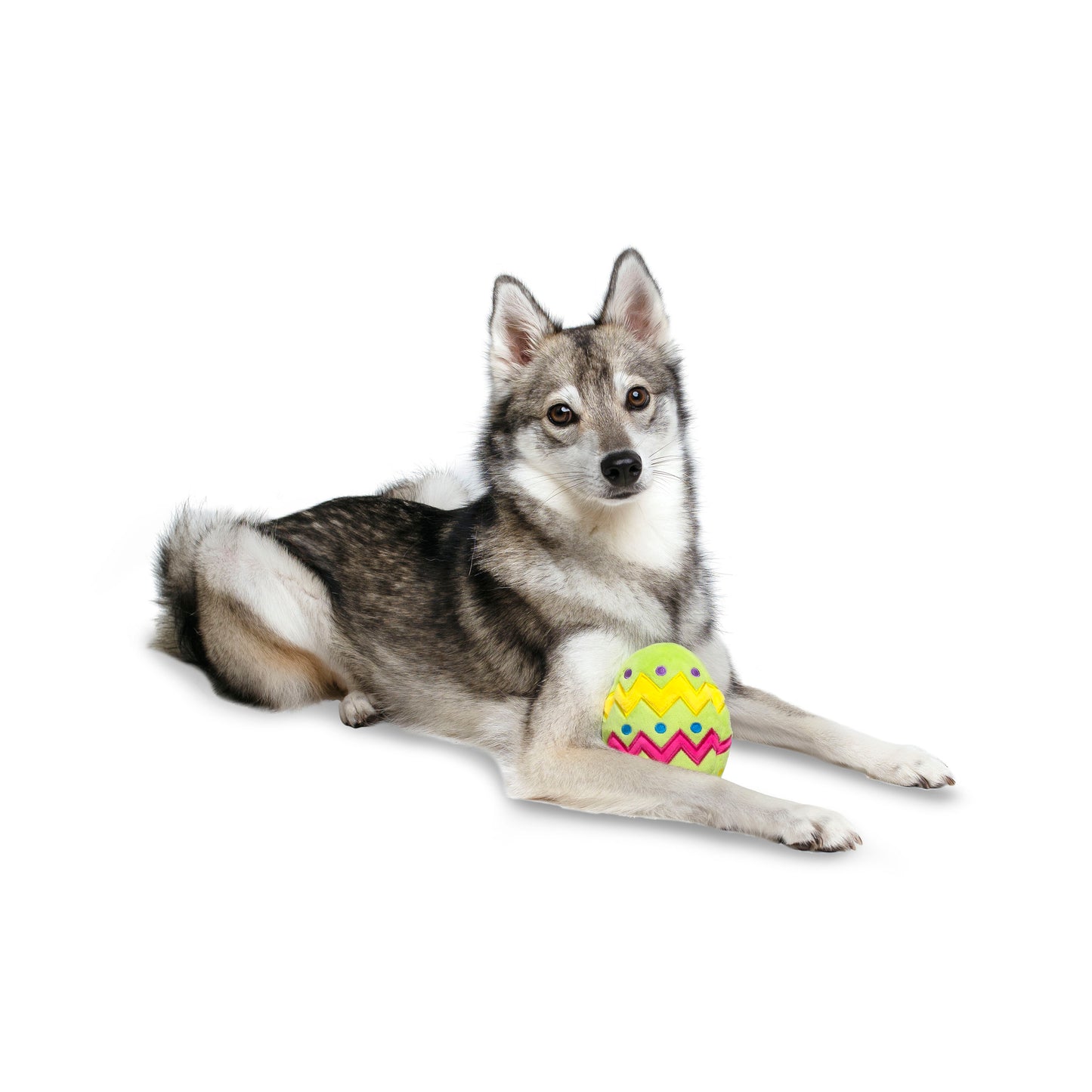 Midlee Plush Easter Egg Dog Toy with Squeaker (Green)