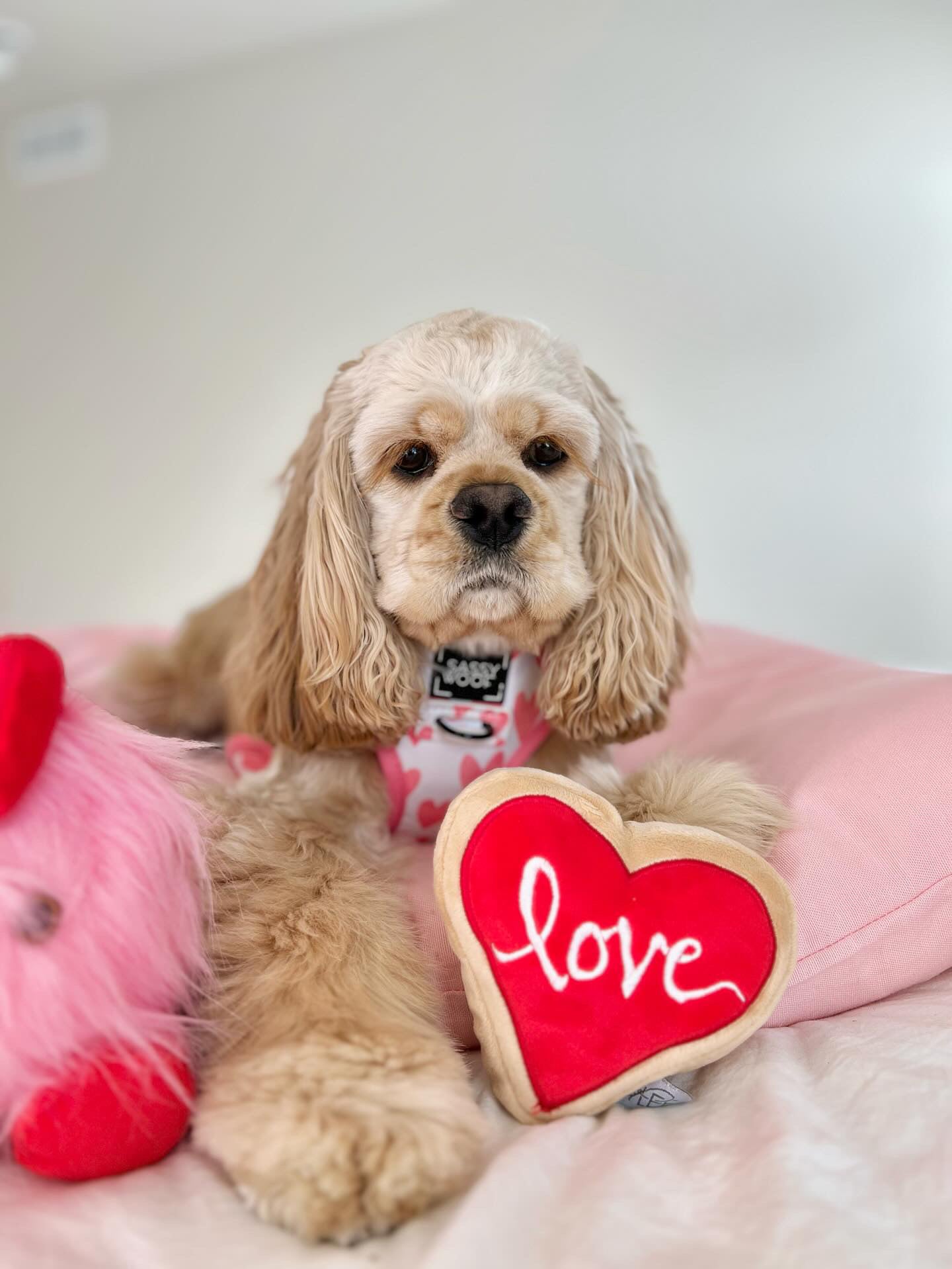 Midlee Red Heart Love Sugar Cookie Plush Toy