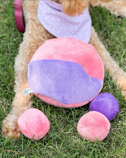 Midlee Hide a Ball Dog Toy - Pink/Purple