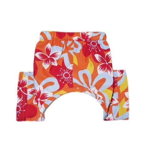 Pooch Outfitters Tasmania Dog Swim Trunks (XX - Small, Multicolored)